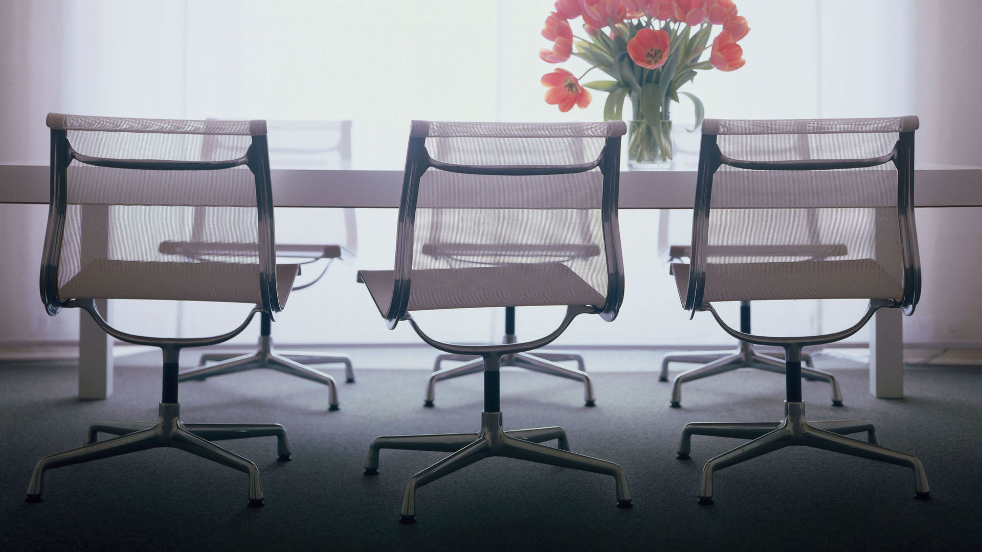 办公椅|现代真皮会议椅|办公安博网页版|安博anbo（中国）安博网页版|EA 104 会议椅